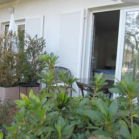 Casa Sandra * 洛迦诺